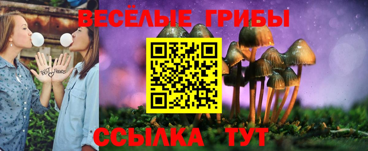 Серов  Галлюциногенные грибы MAGIC MUSHROOMS  Вход с VPN 
